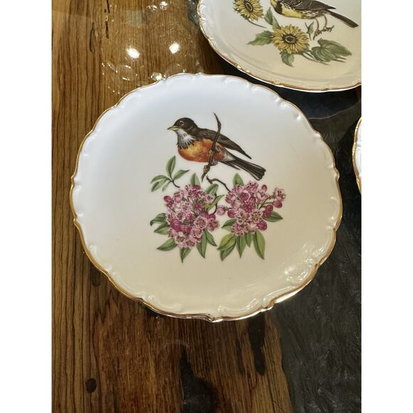 Schuman Arzberg Germany Porcelain Bird Plates Set of 3 Bavaria E & R - Picture 3 of 8